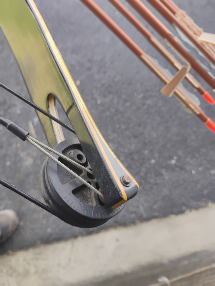 Browning Bantam Compound Bow