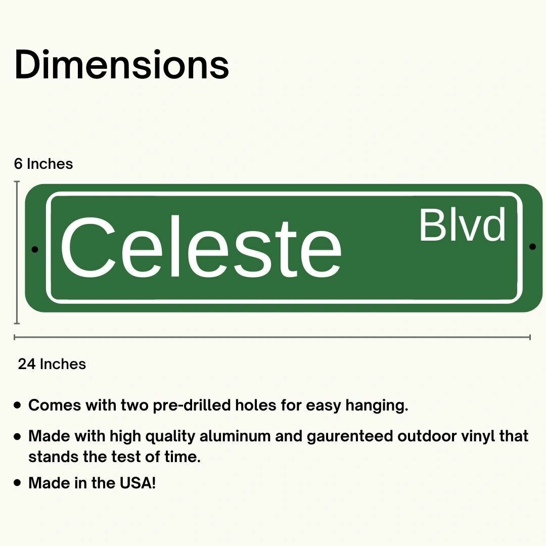 Custom Personalized Aluminum Street Sign Outdoor Indoor Great Gift for Everyone