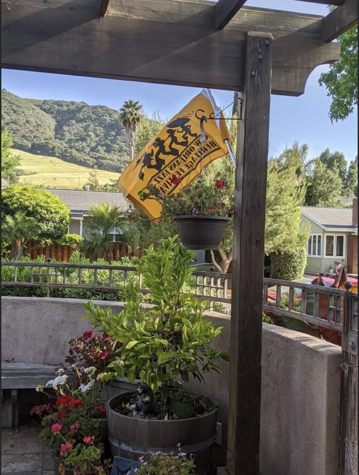 Original New Orleans Jazz Fest Flag