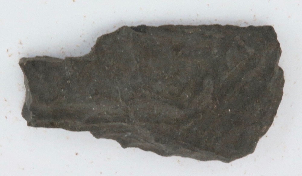 "Prehistoric Cutting Stones” Large Display Board.
