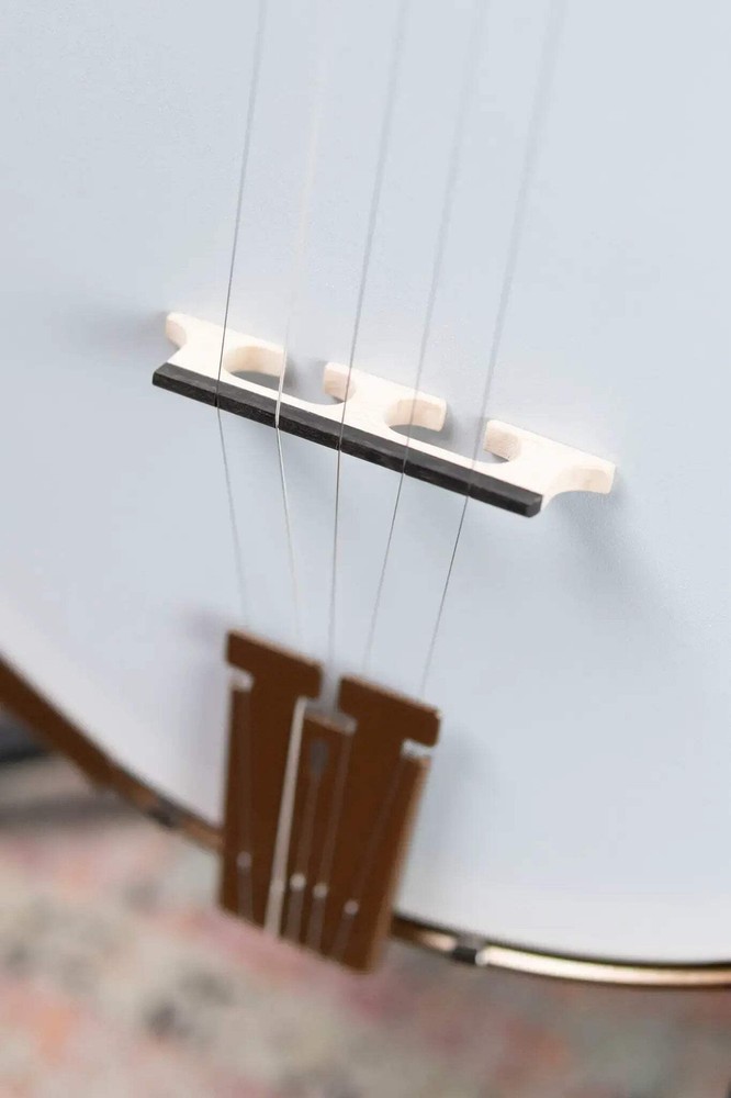 Deering Goodtime Two 5-String with Resonator Banjo