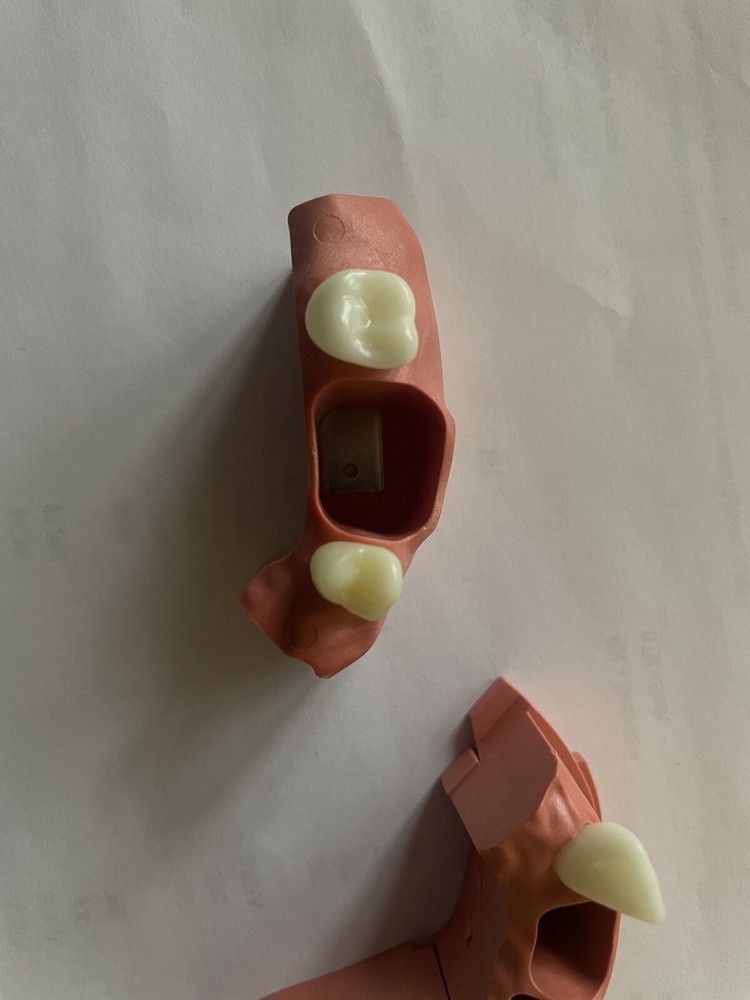 ACADENTAL ENDO Upper Anterior Module( M200)