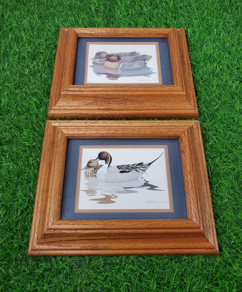 Richard Sloan Green-Wing Teal & Pin-Tail Ducks Signed Prints in Solid Oak Frames
