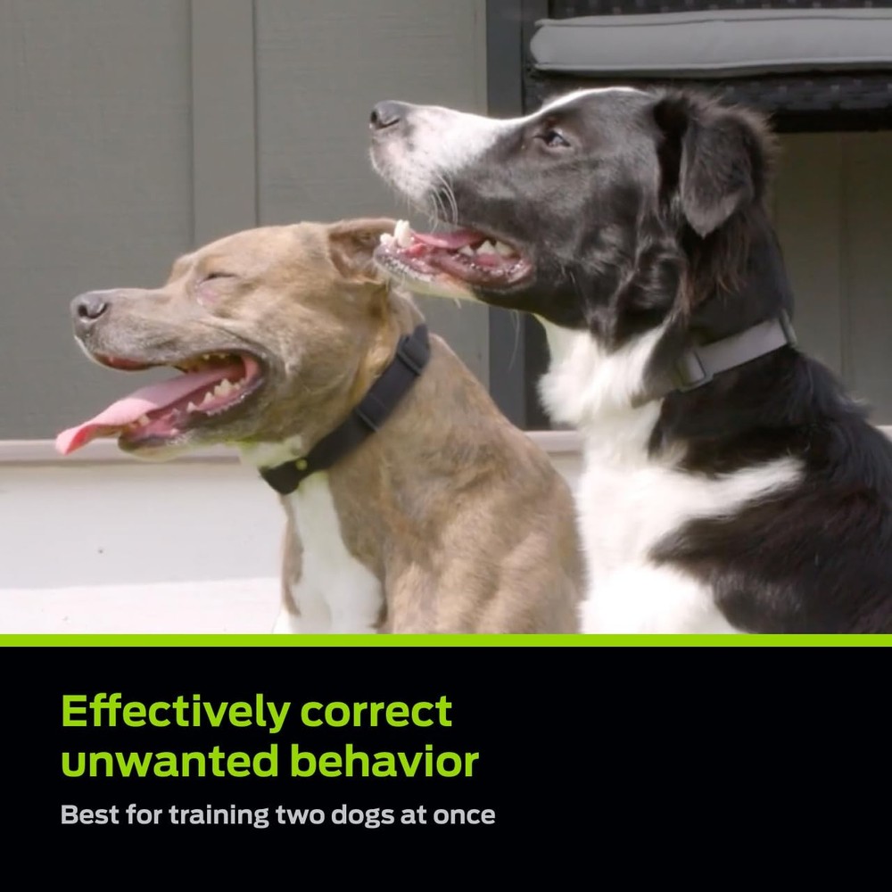 Dog Shock Collar - Safe Behavior Training - 1000ft Long Range Training Shock ...