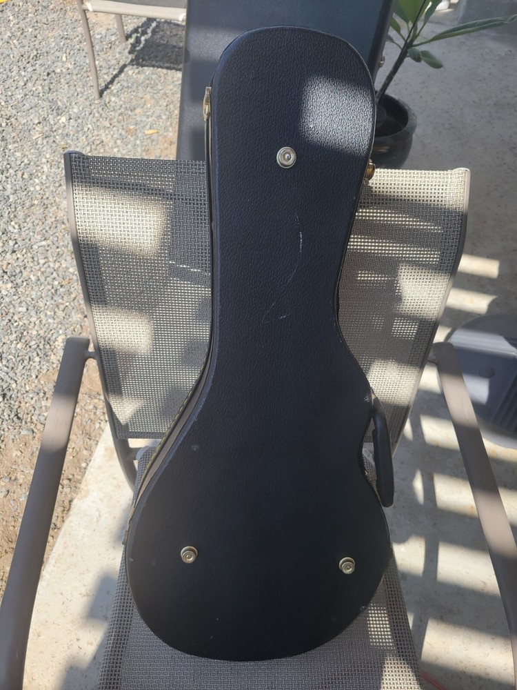 Mandolin Case F Style