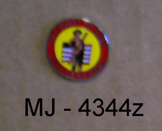 Right to Keep and Bear Arms Pin
