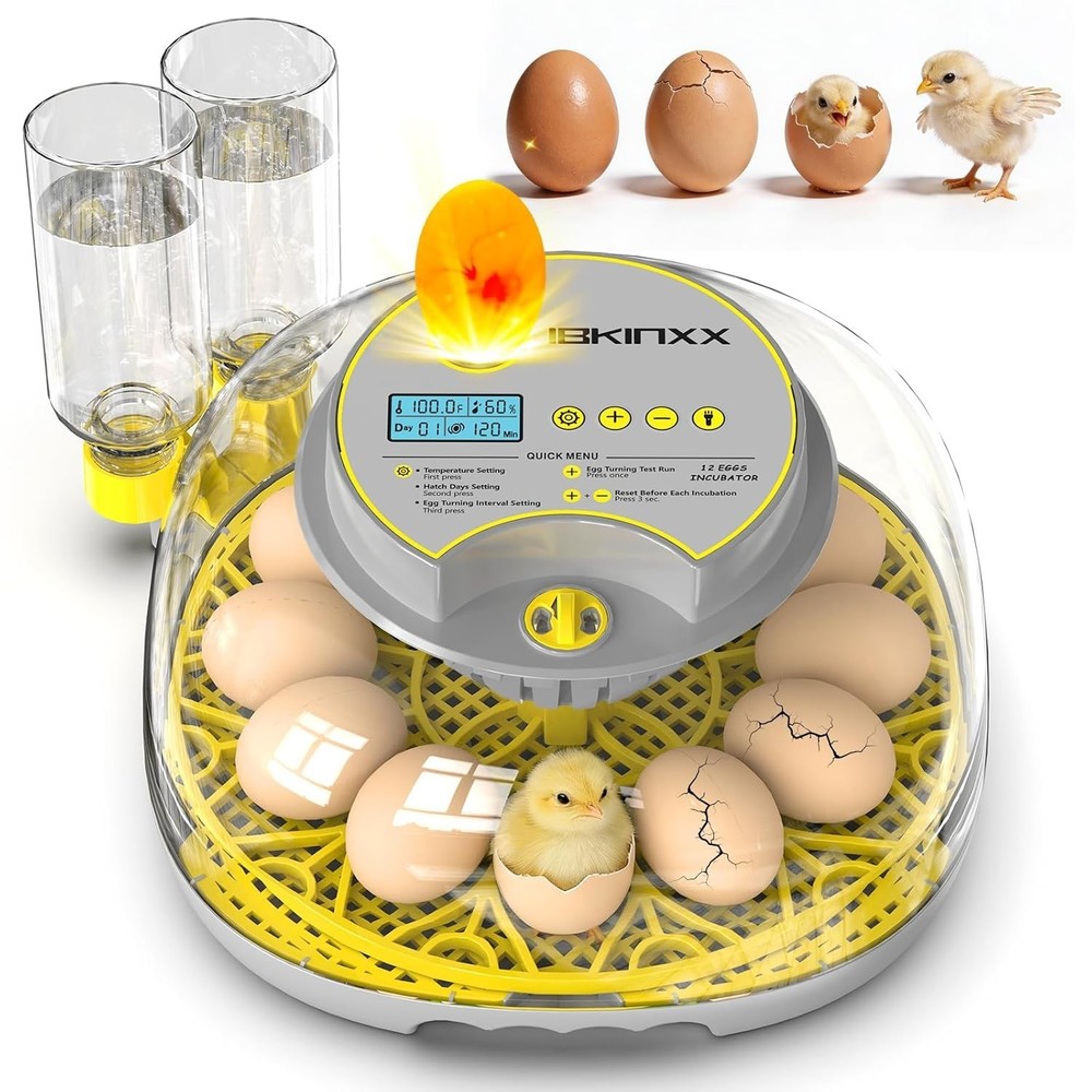 Incubator for Hatching Eggs-12 Egg Capacity, 2026 Newly Upraded Automatic Egg...