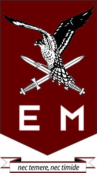 Dutch Army 11th Airmobile Brigade (Netherlands) Decal (Rectangle)