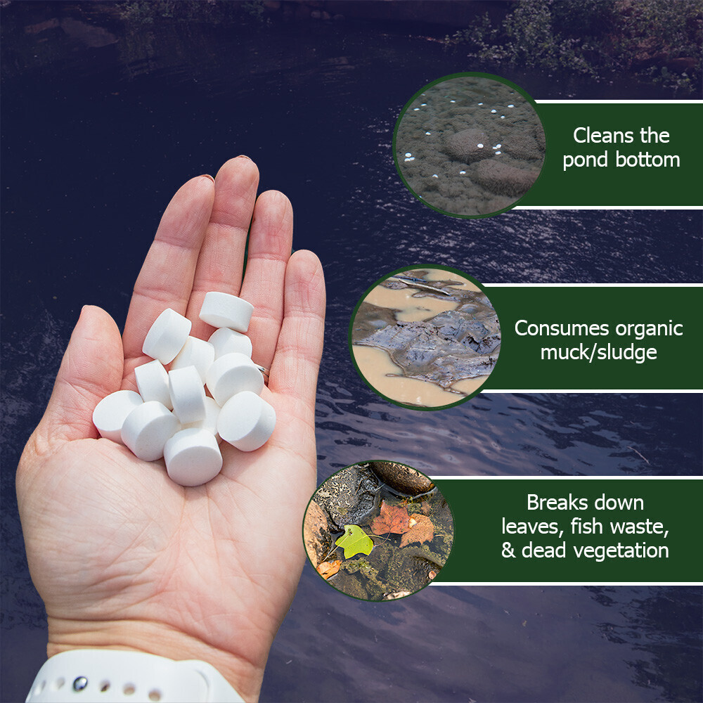 Muck Remover GP for Koi Ponds
