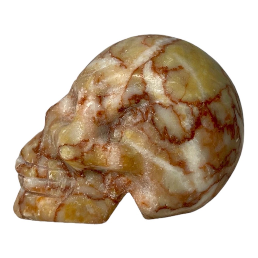 Red Network Vein Jasper Small Skull