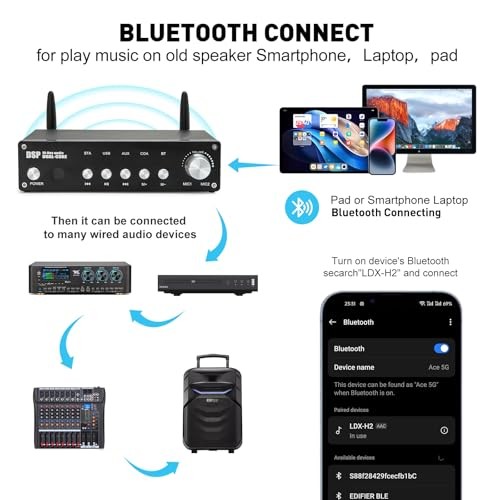 UHF Wireless Microphone System, Cordless Karaoke Microphone System with 2