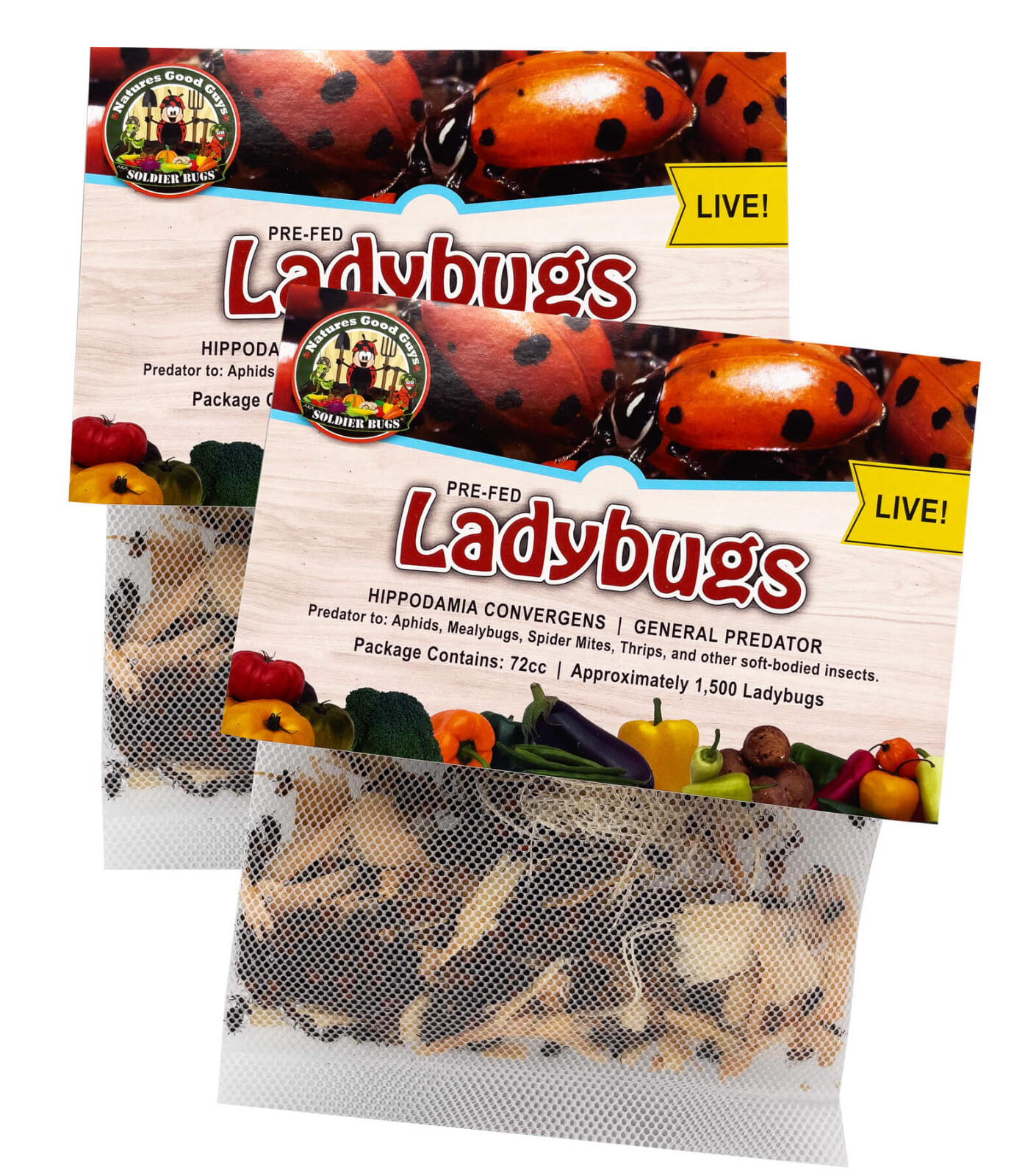 NaturesGoodGuys - Live Ladybugs - General predators