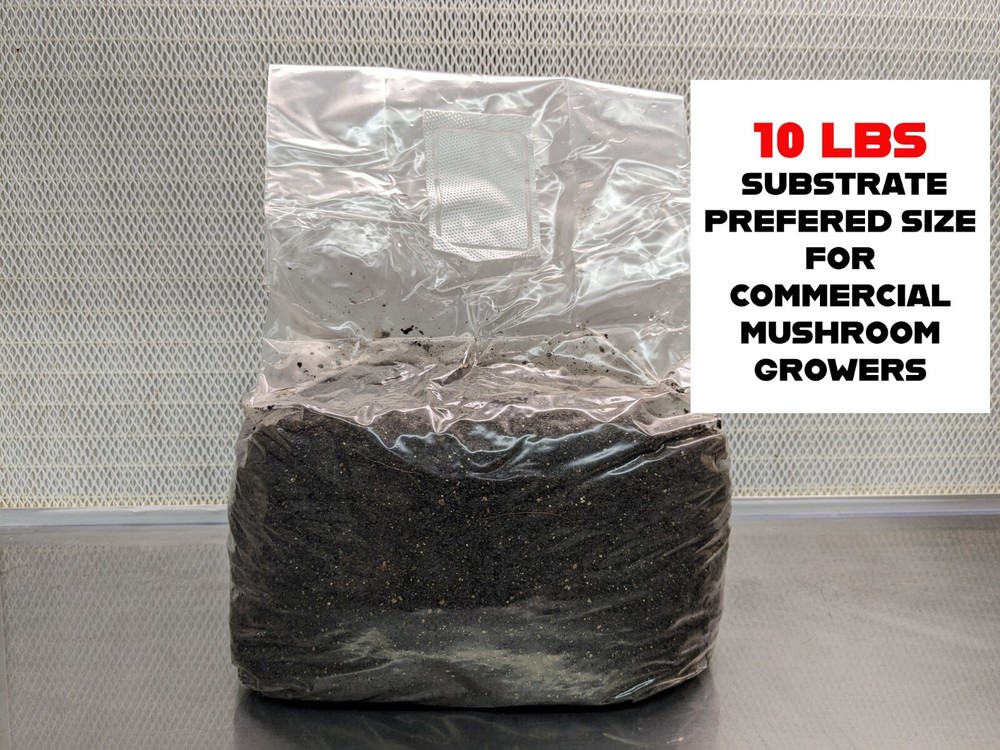 10 LBS Black Coco Mushroom Substrate