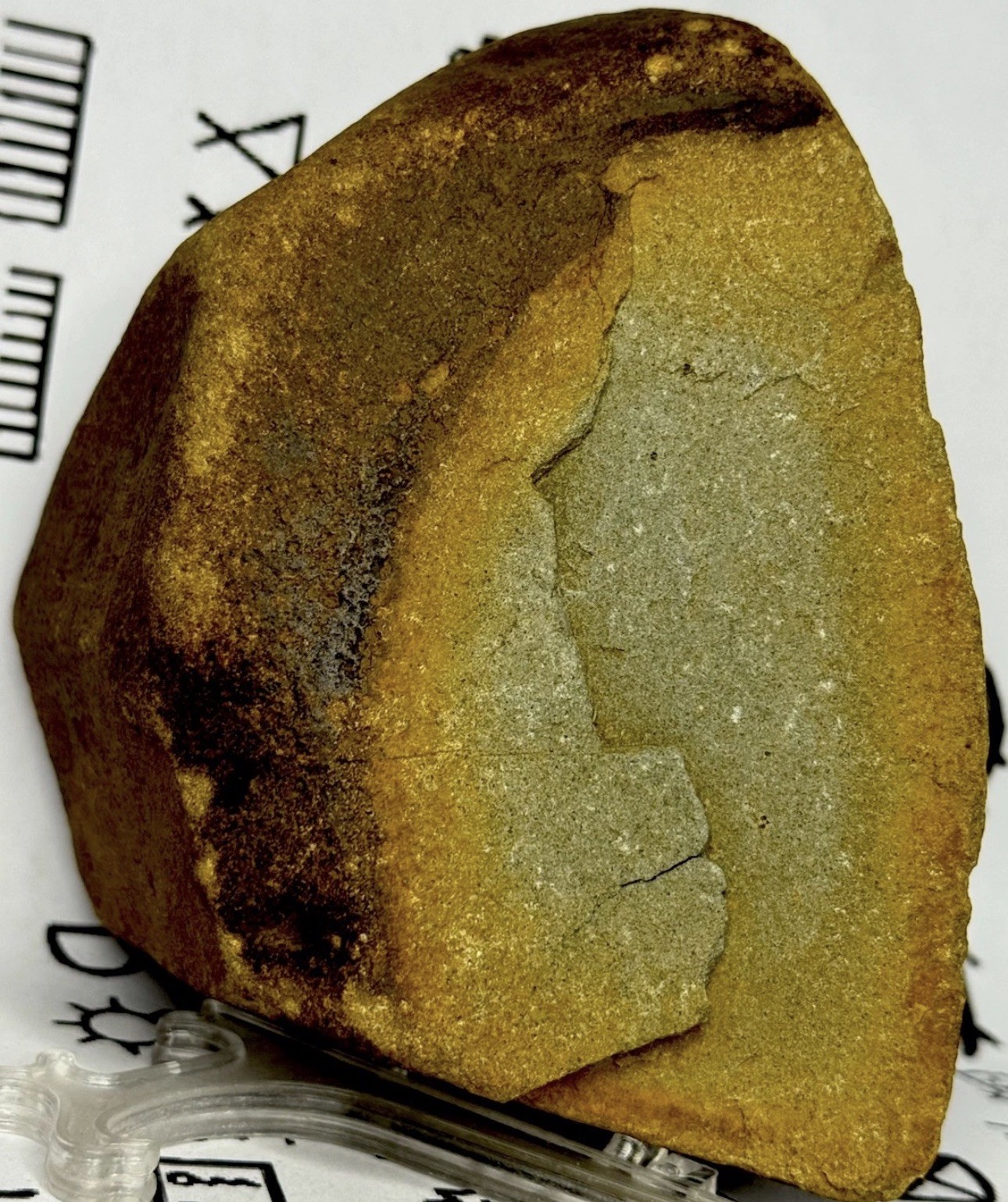 Native American Indian Authentic Artifact Stone Carved Effigy, 2 lb 12 oz • VA