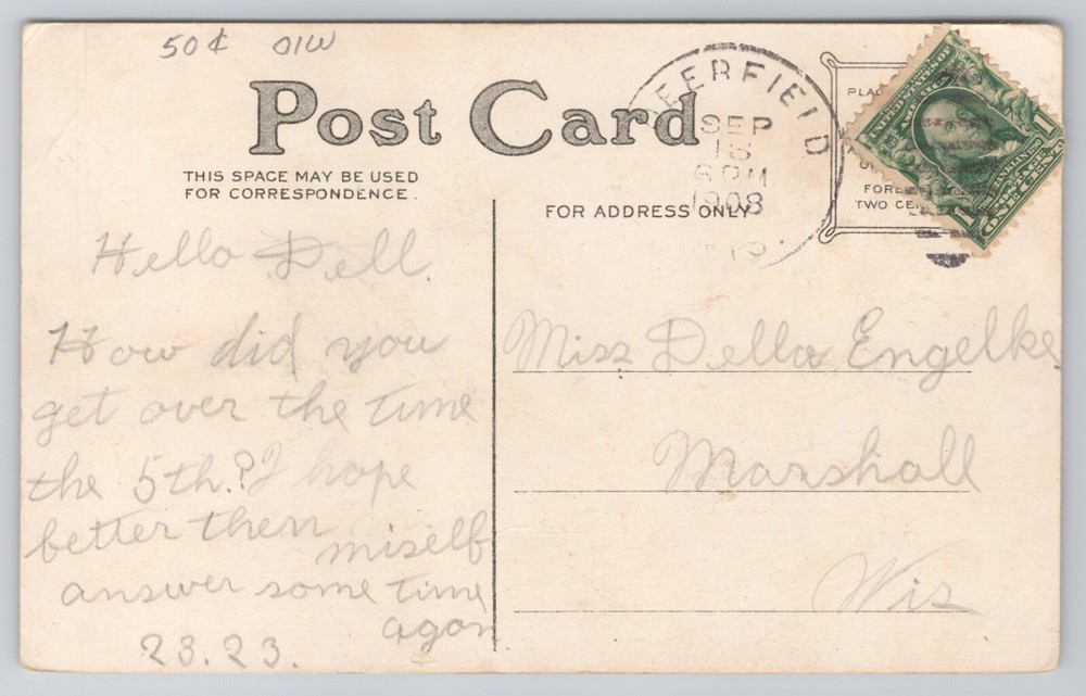 Butterfly With Pink Wild Roses c1915 Postcard