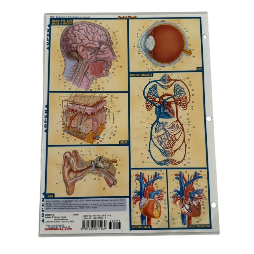 Anatomy QuickStudy Laminated Reference Guide