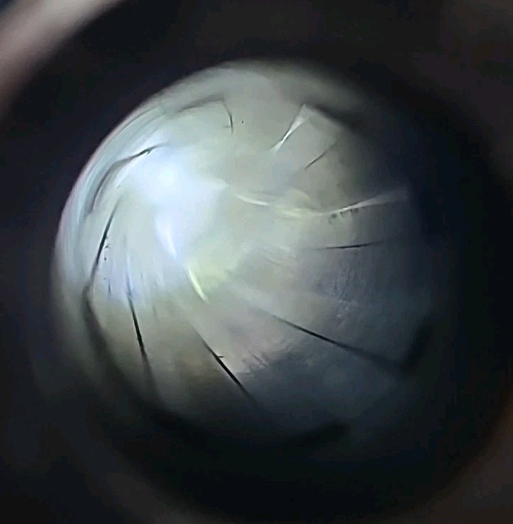 MINT BORE Thompson Center Thunder Hawk Muzzleloader 24” Barrel NICE 50 Cal