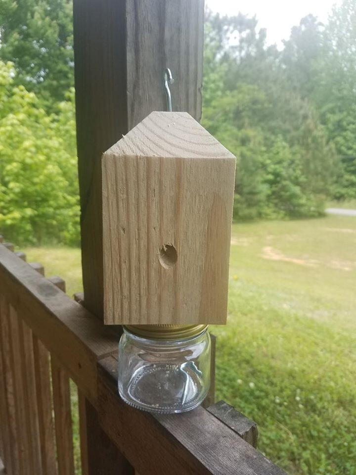 Boring /Wood Bee Catcher Trsp