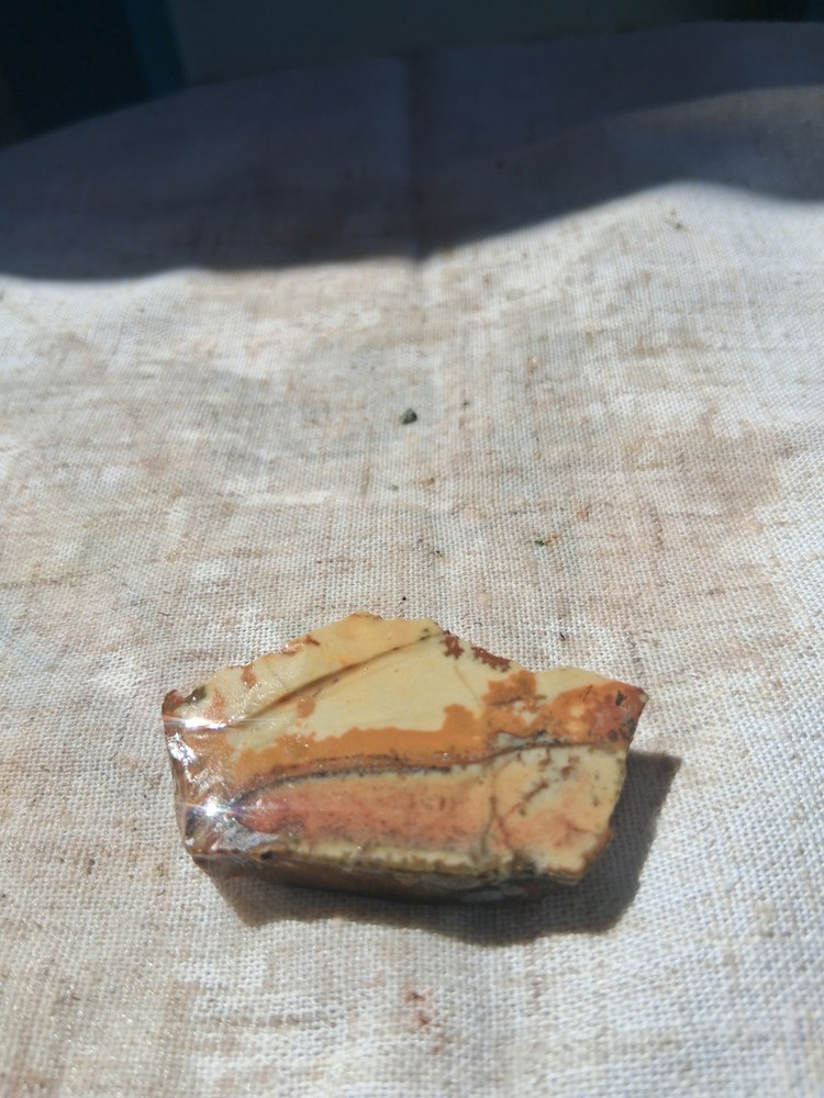 Death Valley Indian Paint Cab Ready For Lapidary