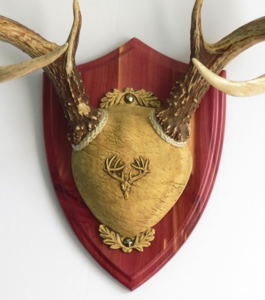 TTW Ultimate Antler Mounting Kit - Cedar