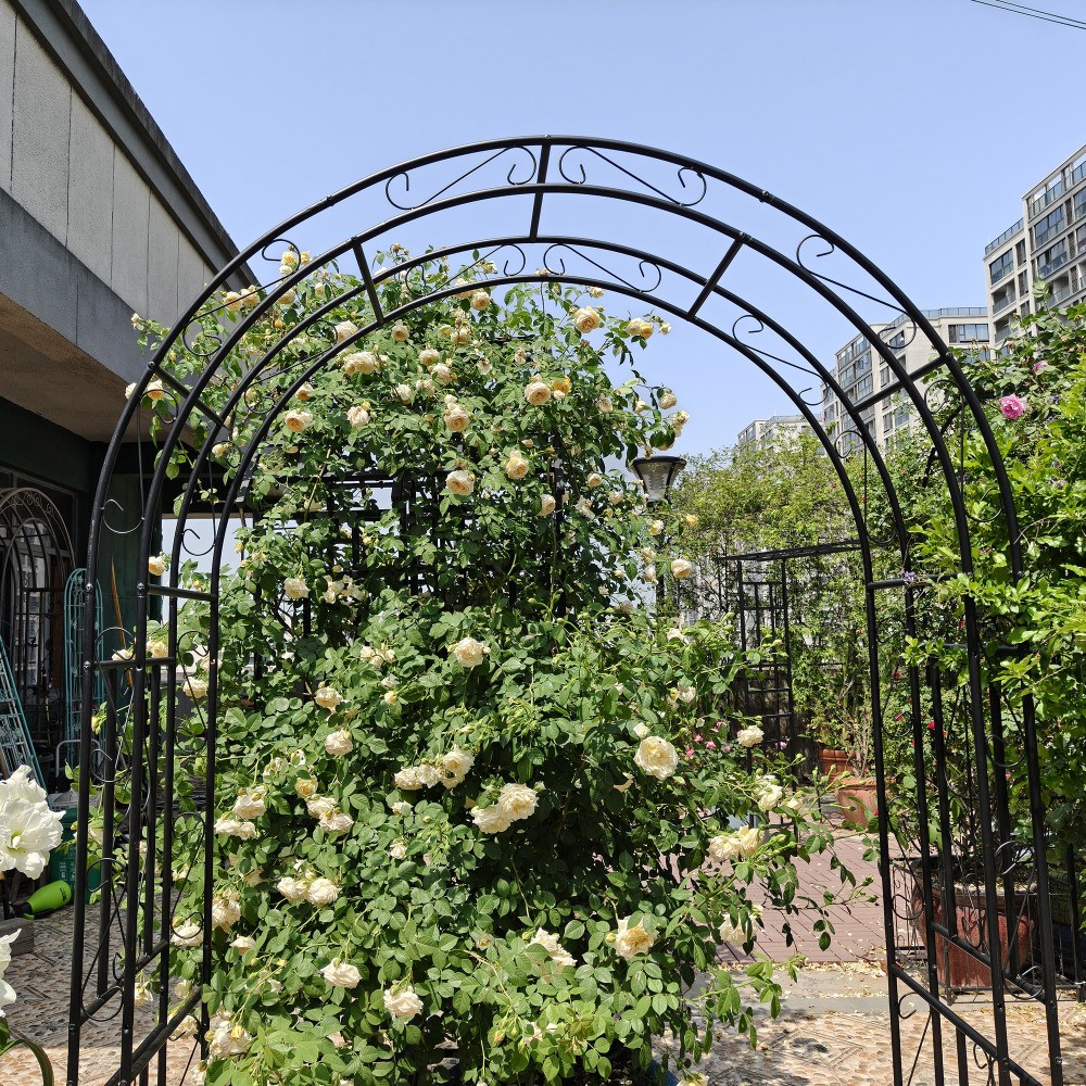 Black Metal Garden Arch 59x17.71x90.55 Inch Climbing Plants Support Rose Trellis