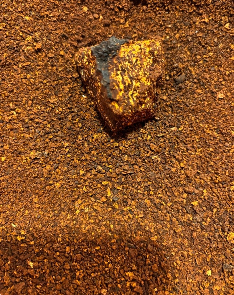 Chaga Tincture Dual Extract - Adaptogenic - Anti Inflammatory - Immune Support