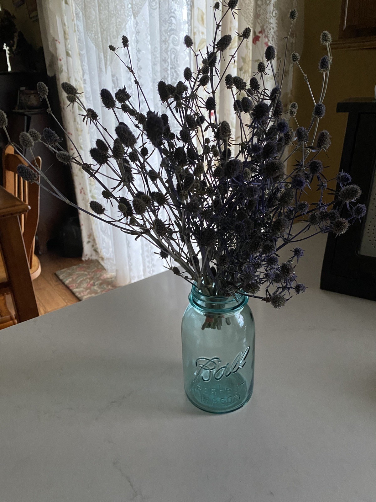 ERYNGIUM Sea Holly Bunch BOUQUET Bundle DRIED Flowers USA