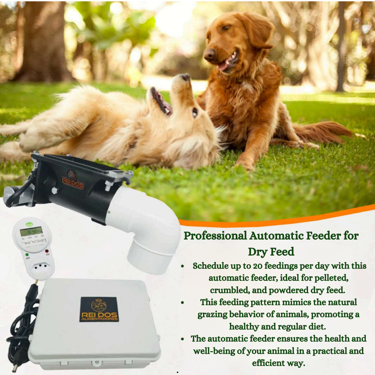 Automatic Dog Feeder Food Dispenser with Timer Care for Your Large and Small Pet