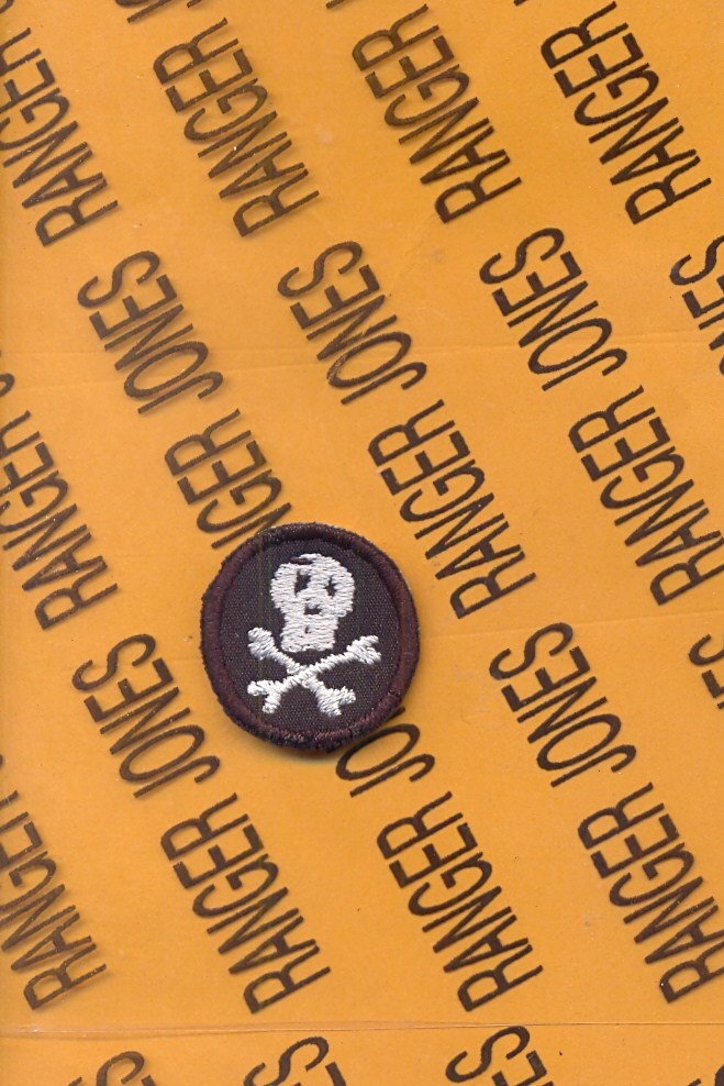 US Army Armor Tank "RAIDER" Dot Korea AIB AFA Cav tab patch