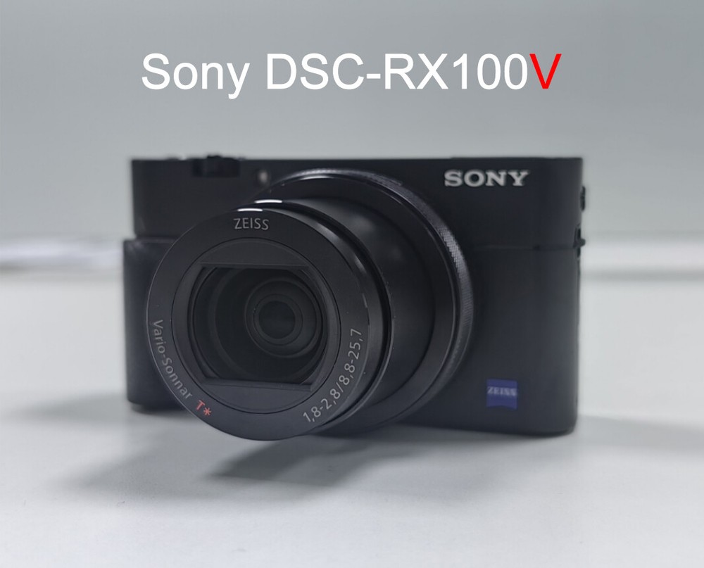 Sony Cyber-Shot DSC-RX100V RX100M5 Compact Digital Camera Flip Screen