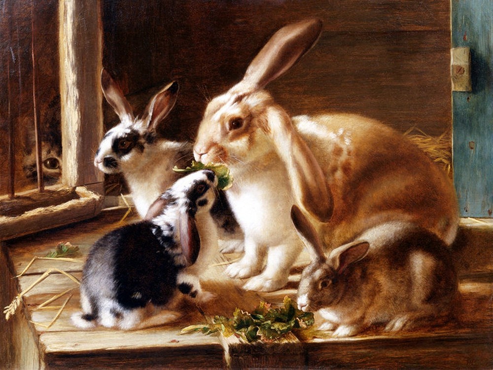 A curious spectator rabbit Accent Tile Mural Bathroom Backsplash Ceramic 8x6