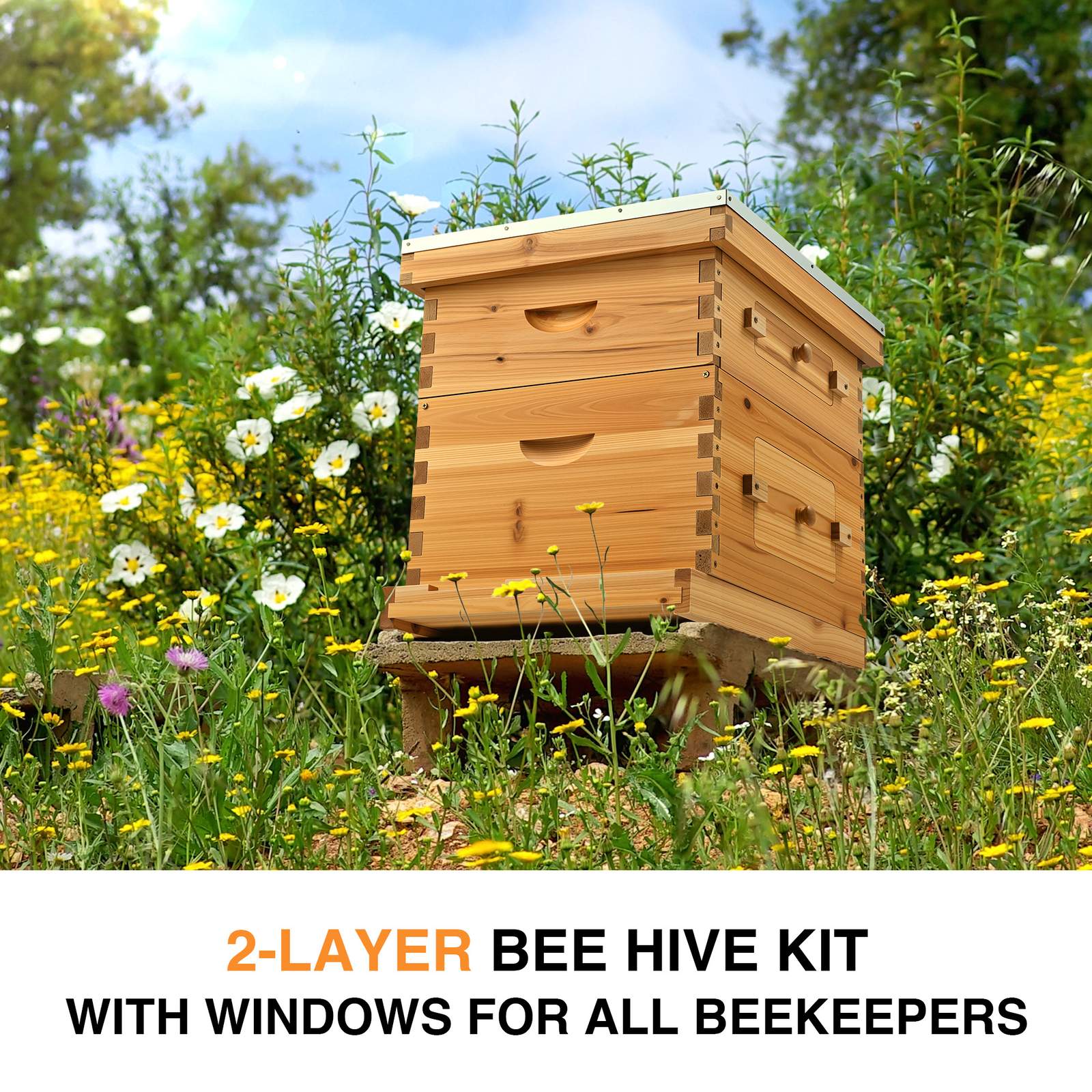 20 Frames Bee hive Frame Box BeeHive Kit Beeswax Beekeeping 10 Deep + 10 Medium