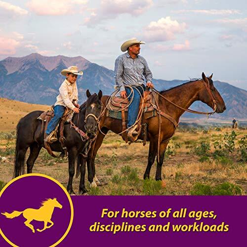 Horse Health Red Cell, Liquid Vitamin-Iron-Mineral Supplement for Horses,