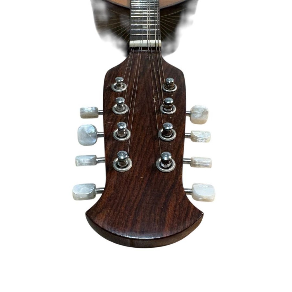 SUZUKI Mandolin M-218 with hard case