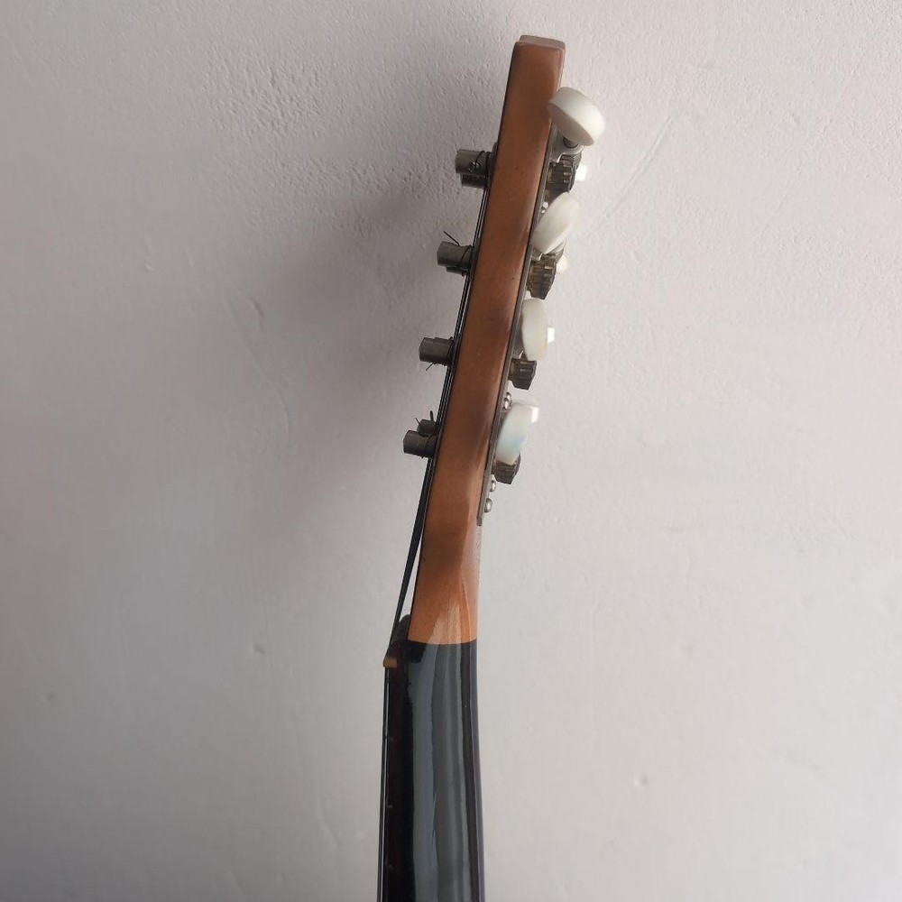 Suzuki Mandolin 1968 no70