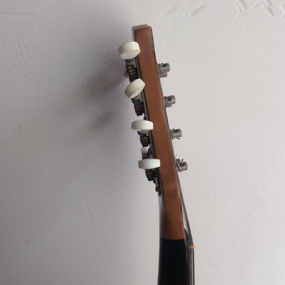 Suzuki Mandolin 1968 no70