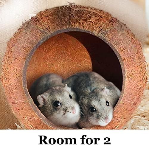 SunGrow Coconut Shell House for Gecko, Snake & Ball Python, Raw Coco Brown