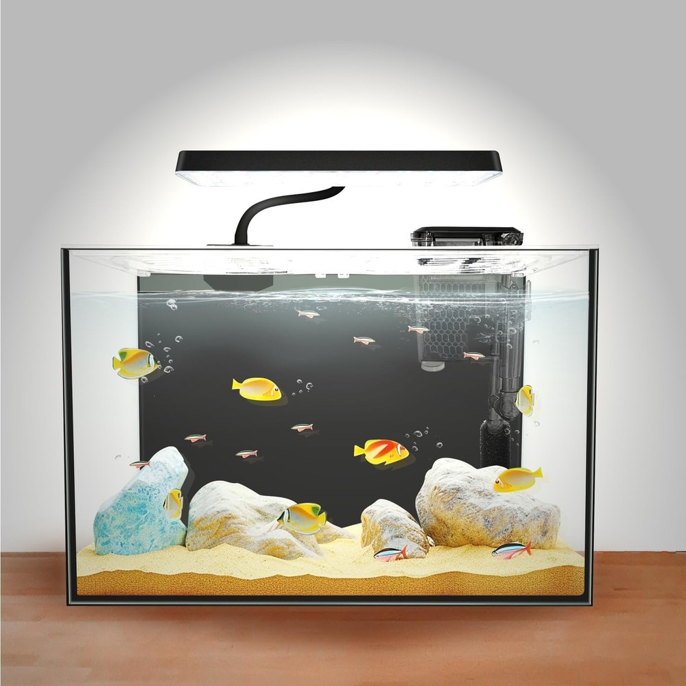 Multi-Functional 3 Gallon Rectangular Aquarium with LED Light & Betta Separator