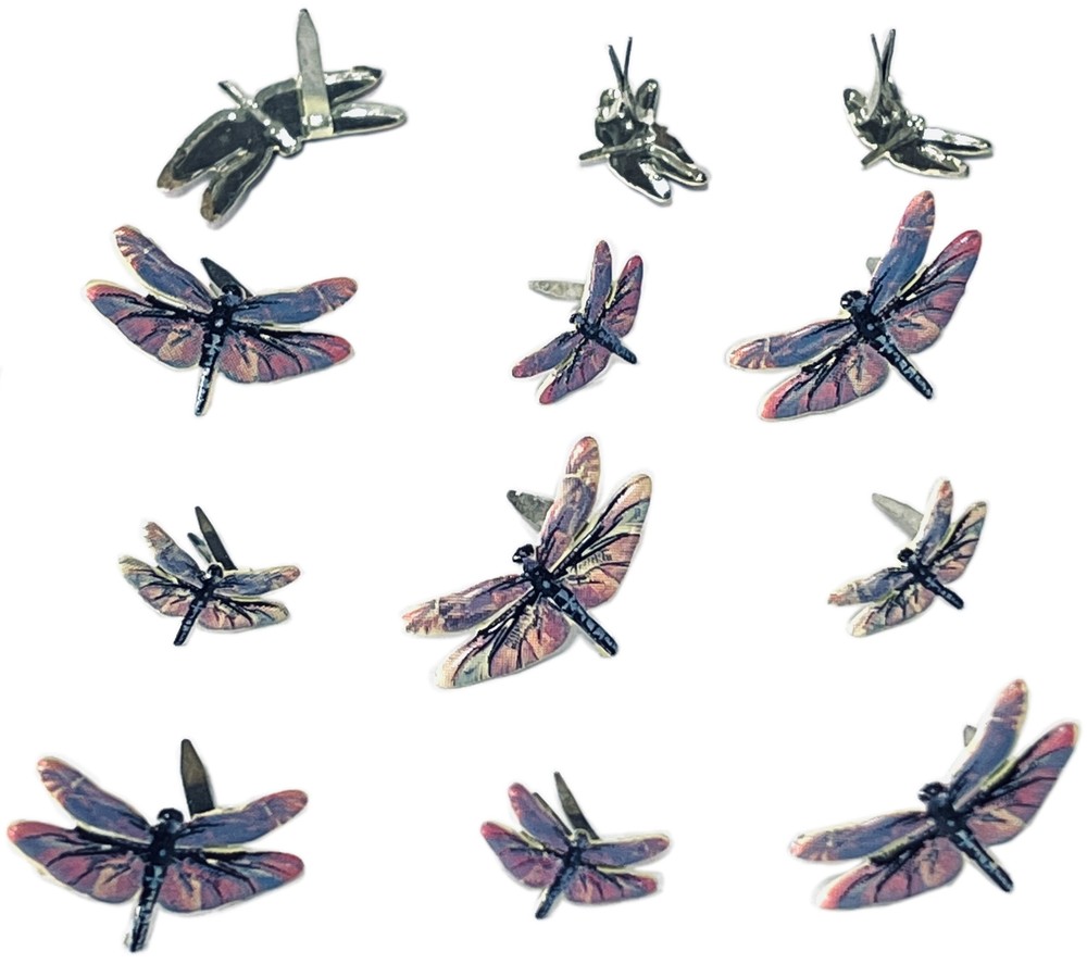 Eyelet Outlet Shape Brads 12/Pkg-Dragonfly - 6 Pack