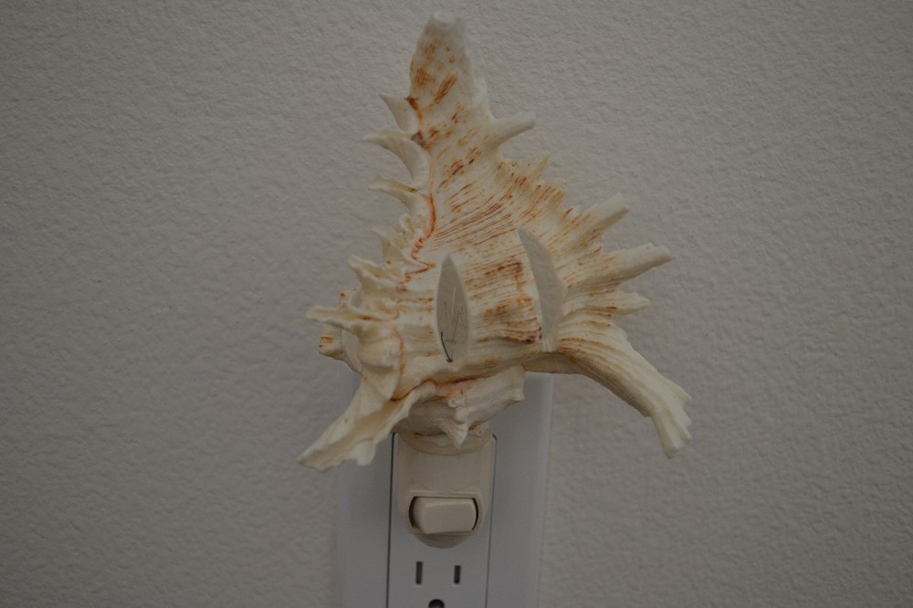 CUT MUREX RAMOSUS SEA SHELL NIGHTLIGHT #7571