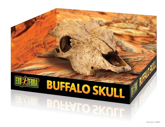 EXO TERRA BUFFALO SKULL