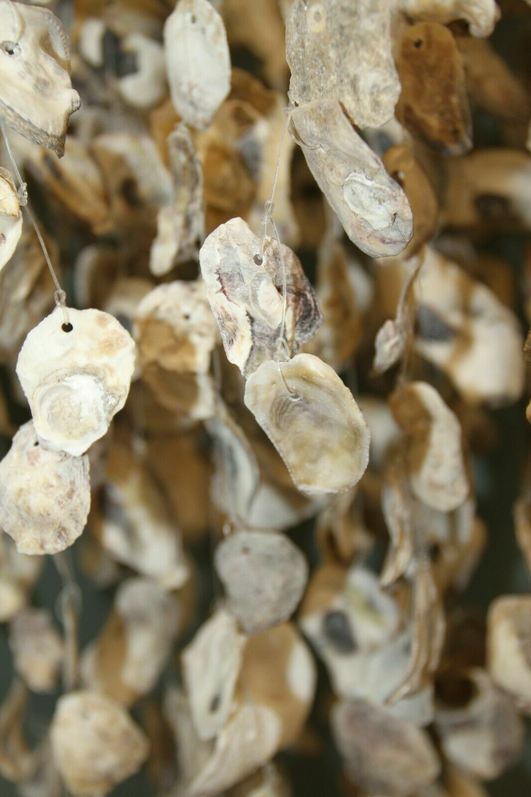 Restaurant Decor Oyster Shell Mobile Chandelier Hand-Crafted, Oyster Expo