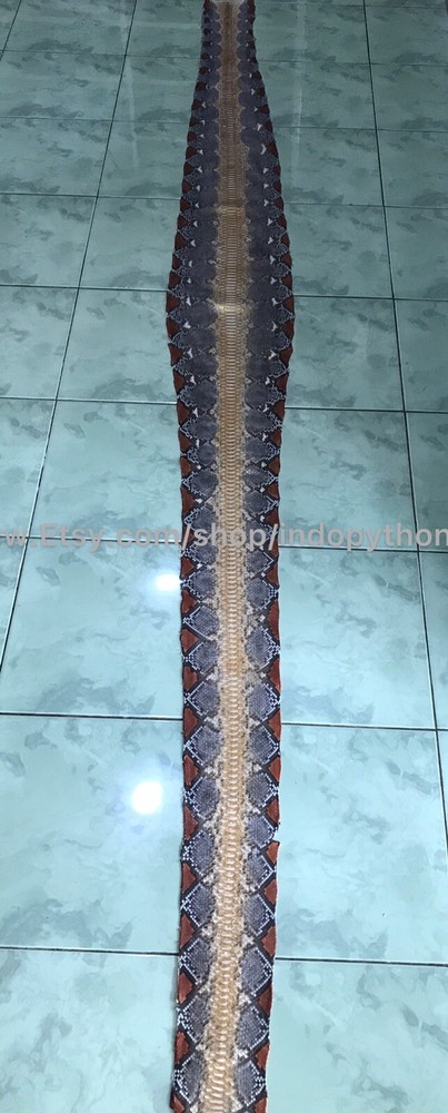 Genuine Python Leather, Exotic Snake Skin, Gray SnakeSkin, Multicolor Leather