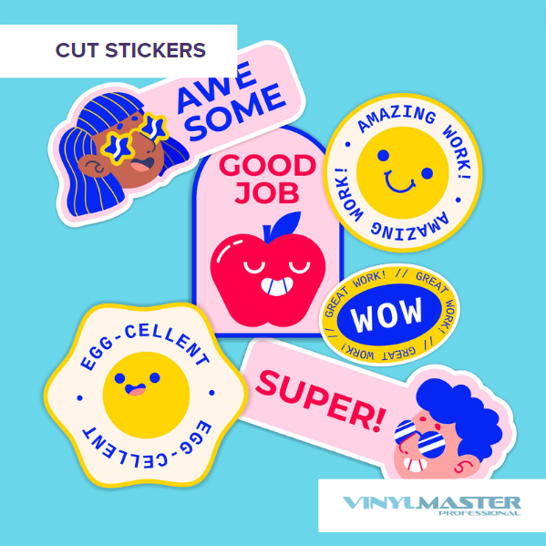 Professional Level Sign Making Shop Software VinylMaster PRO (No Disk) V5
