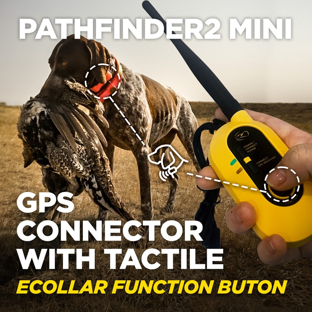 Dogtra PATHFINDER2 MINI GPS Tracking & Training E-Collar SmartPhone FREE Cut'em