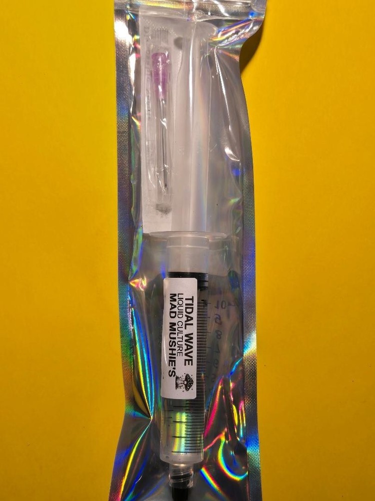 study kit for microscope your choice