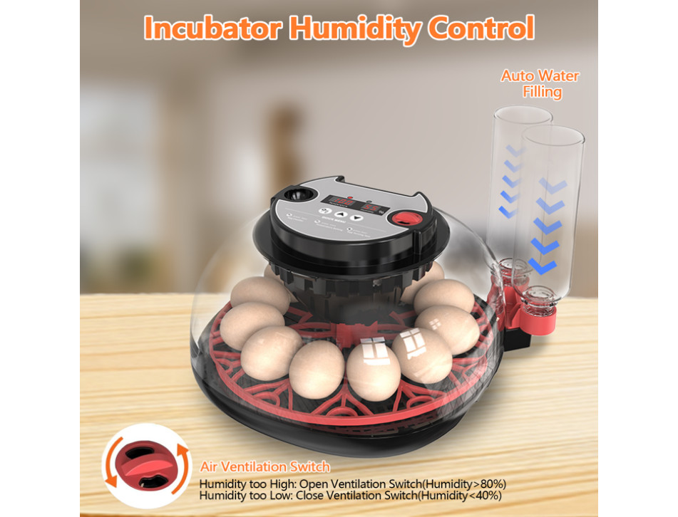 12-Egg Automatic Incubator with Auto Turner & Humidity Control, Poultry Hatching