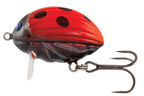 SALMO Lil 'Bug Lure - 3cm - Floating  - Chub Perch Trout