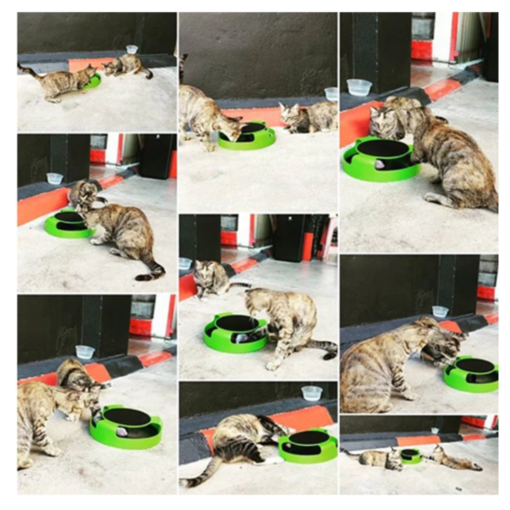 Smart Pet Exercise & Training Play Pad | Interactive Cat Toy 360° Rotating Mouse