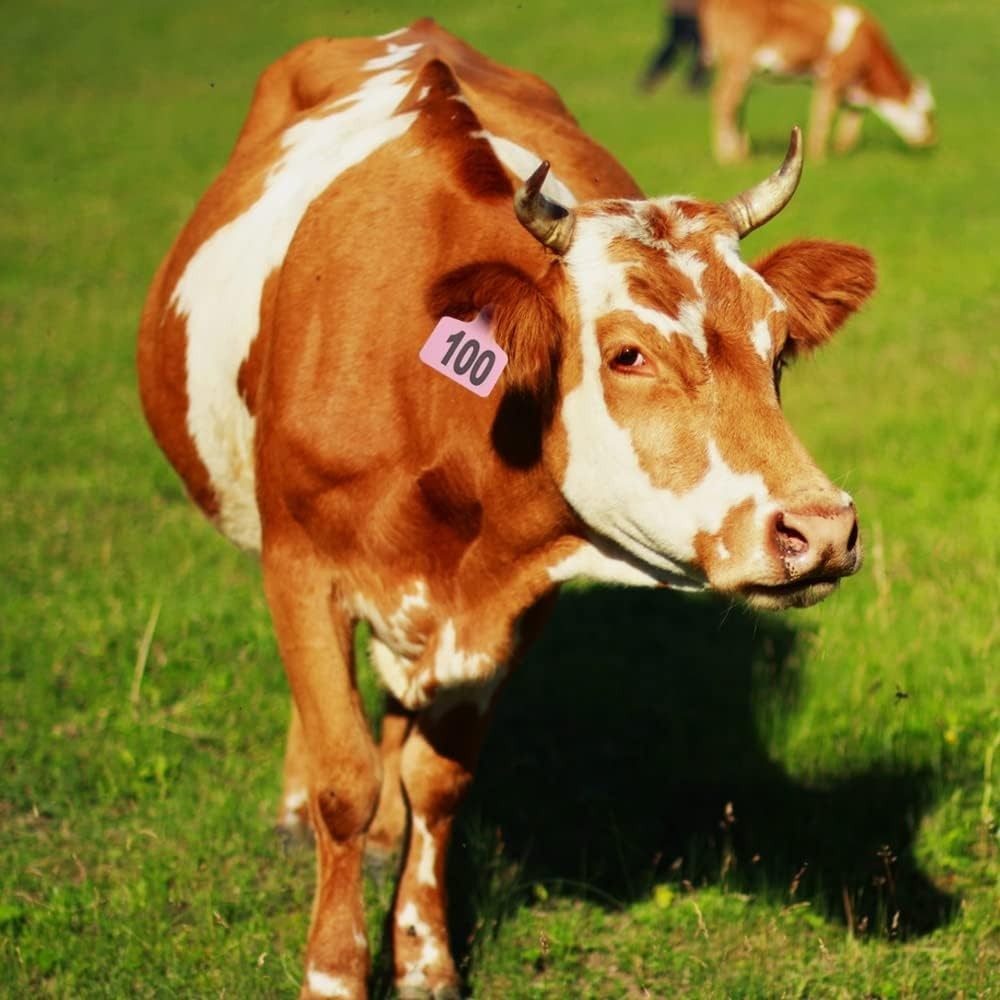 Round Cattle Ear Tags 001-100 with Applicator - Pink Tagging Solution